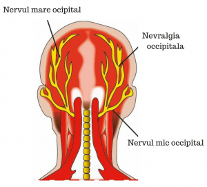 durere în articulația occipitală
