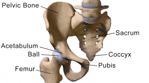 dureri ale articulației șoldului după alergare artroza deformantă de primul grad al articulației genunchiului