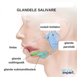 Inflamatia glandelor salivare – sialodenita - Stomatologie