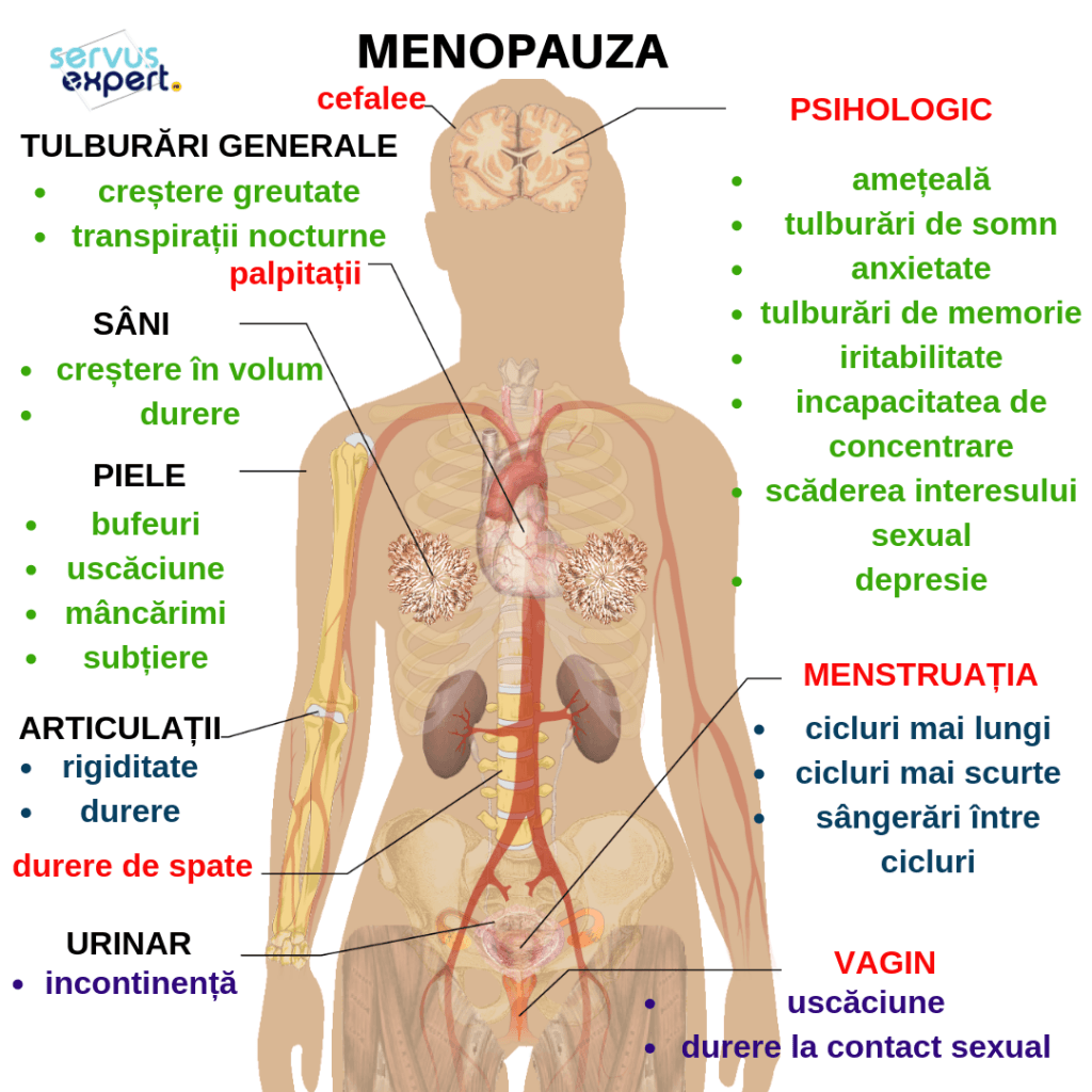 dureri severe la toate articulațiile în timpul menopauzei)