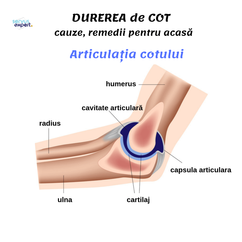Unguente pentru artrita articulației cotului - Artroza umărului