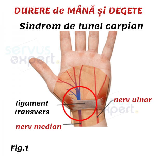 durere la nivelul articulației degetelor mici