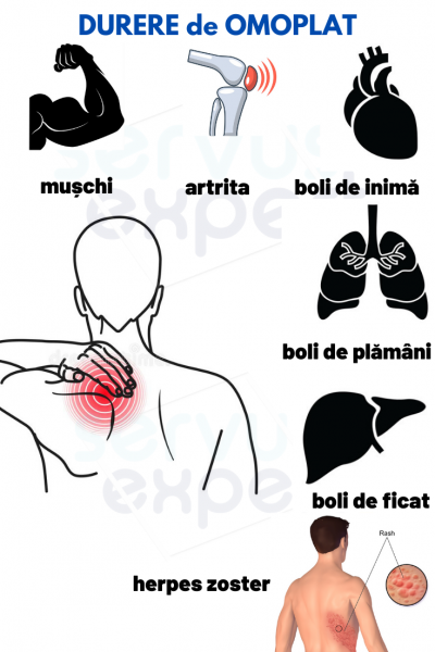durere între omoplat și coloana vertebrală din dreapta)