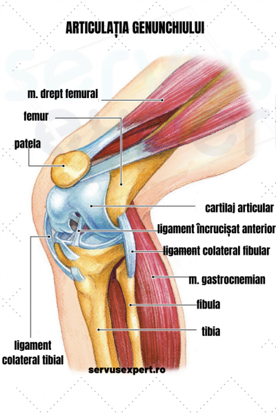 durere din părțile laterale ale articulației genunchiului