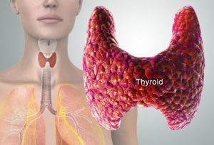 glanda tiroidă - simptome și analize de sânge