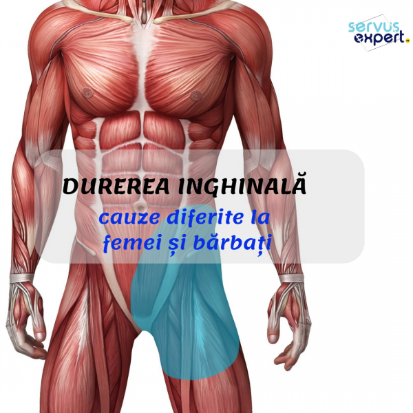 dureri musculare la nivelul articulațiilor abdomenului