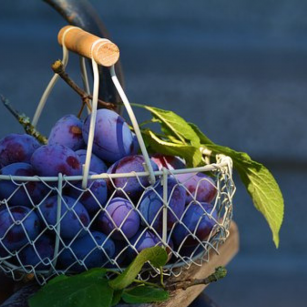 Antocianine: beneficii și surse alimentare; prune