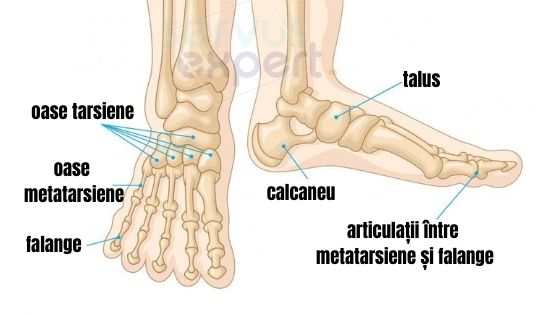 durere în articulațiile metatarsiene pe un picior)