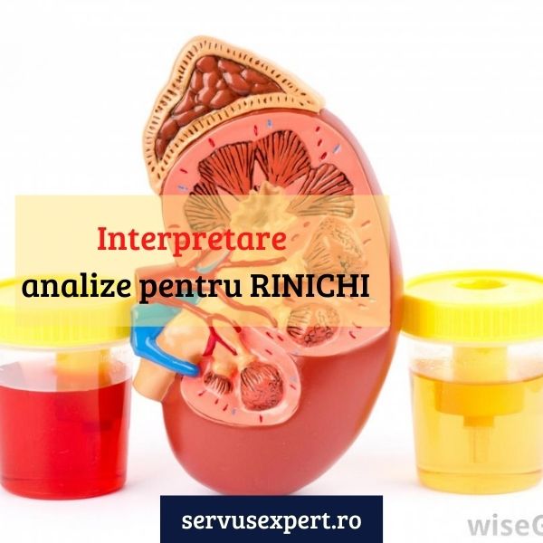 analize pt rinichi)