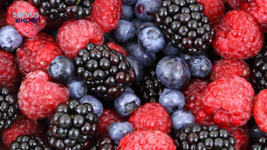 antocianine in fructe de padure